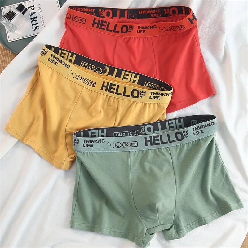 10 個/メンズ下着男性純粋な綿のパンツ男性ブランドパンティ - Boxer Brief Pack Cotton のレビューと価格