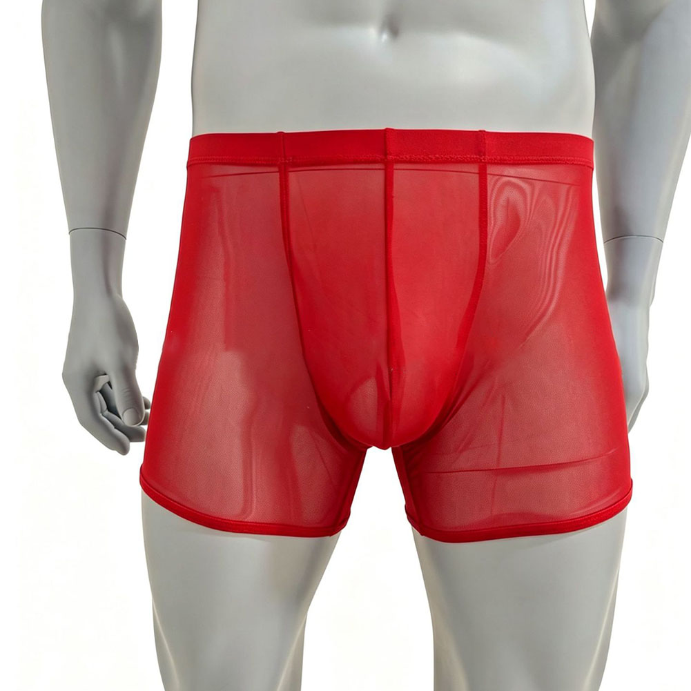 男性メッシュシースルー超薄型ボクサーパンツ下着ハイウエストト - Long Leg Trunk Men のレビューと価格