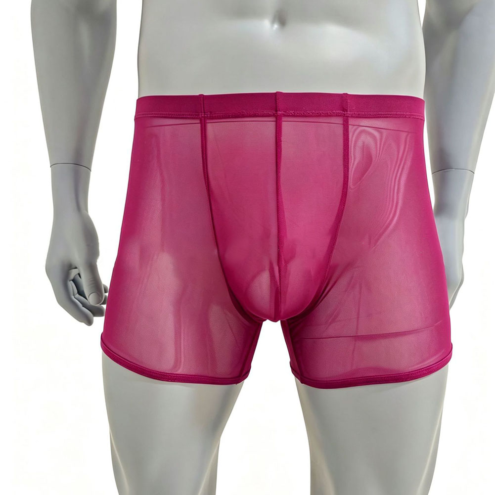 男性メッシュシースルー超薄型ボクサーパンツ下着ハイウエストト - Long Leg Trunk Men のレビューと価格
