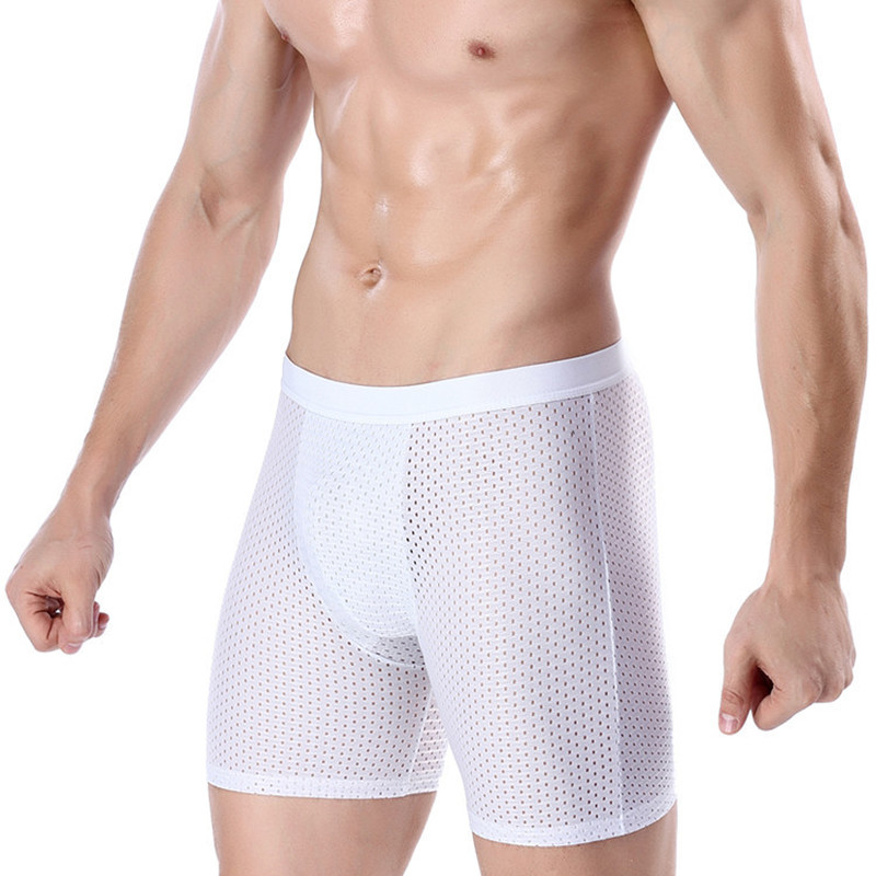 4 パックメンズショーツアイスシルク快適通気性パンツメッシュ - Multi Pack Underwear のレビューと価格