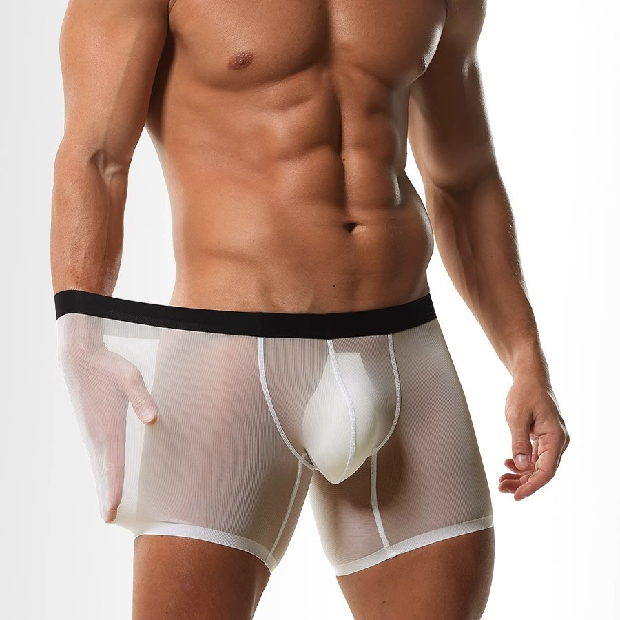アイスシルク シアーメッシュ ロングレッグ ボクサーショーツ - Long Leg Trunk Men のレビューと価格