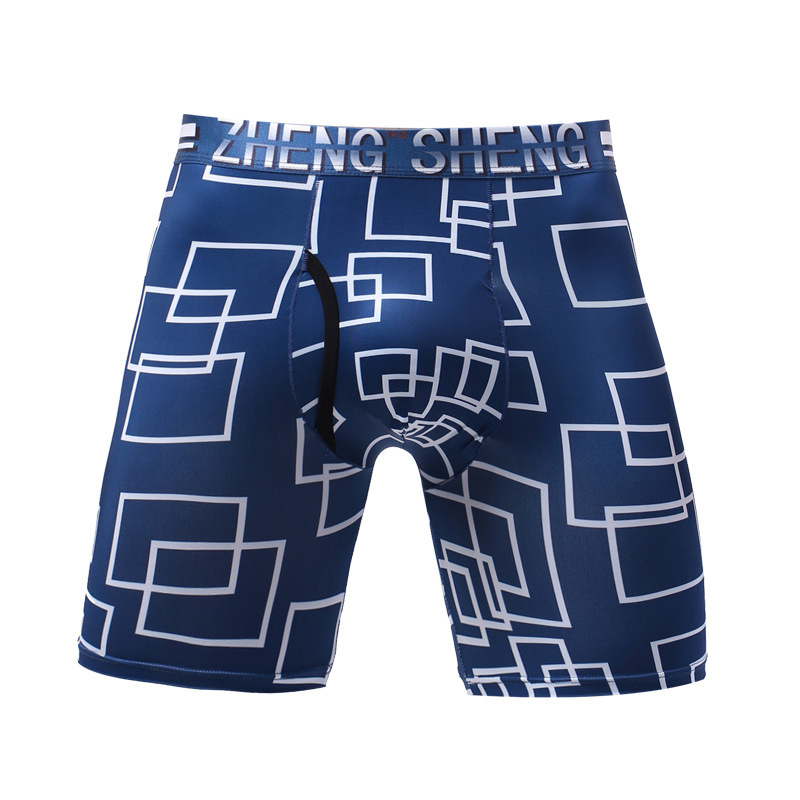 メンズシルクボクサーパンツ,プリント下着,凸型ポケット,ロン - Long Leg Trunk Men のレビューと価格